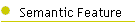 Semantic Feature