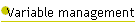 Variable management